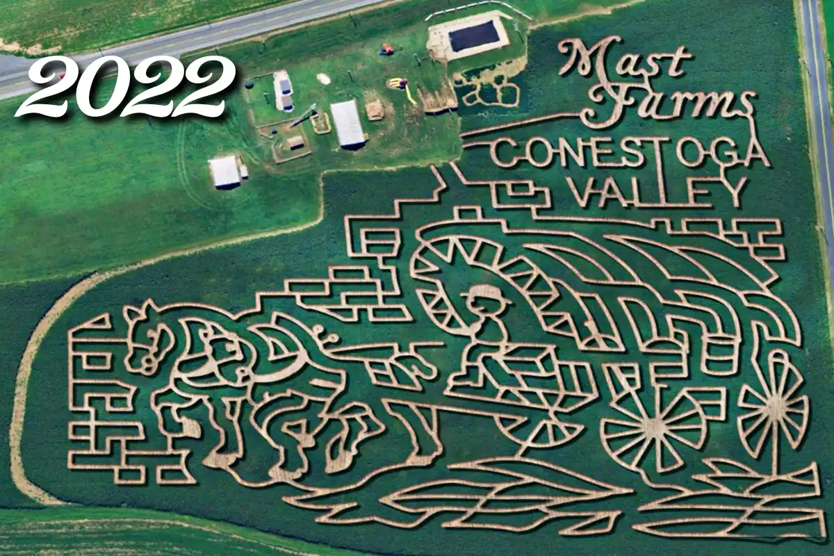 maze.2022