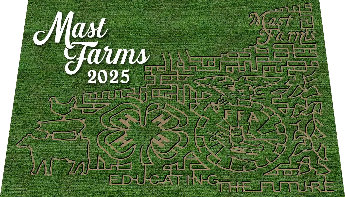 maze2025